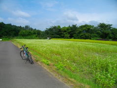 KGSガイドツアー1