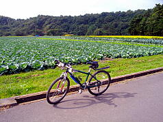 KGSガイドツアー4