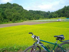 KGSガイドツアー1