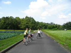 KGSガイドツアー4