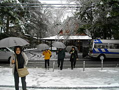 KGSガイドツアー4