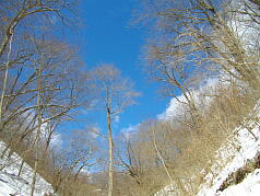 KGSガイドツアー4