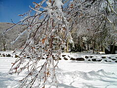 KGSガイドツアー4