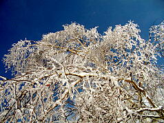 KGSガイドツアー4