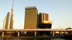 KGI English Training Program