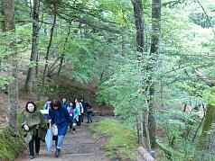 KGI English Training Program