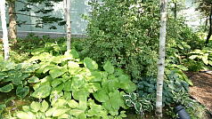 KGI English Training Program