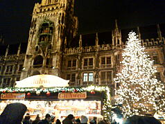 KGI Regular Training Program