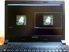 Online English Training