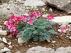 KGI Regular Training Program