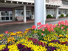 KGI Regular Training Program