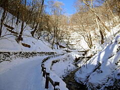 KGSガイドツアー6