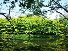 KGI English Training Program