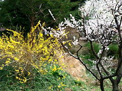 KGSガイドツアー8