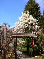 KGSガイドツアー8