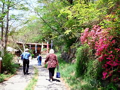 KGSガイドツアー8