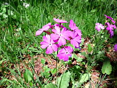 KGSガイドツアー8