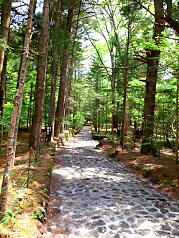 Guided Tour in Karuizawa
