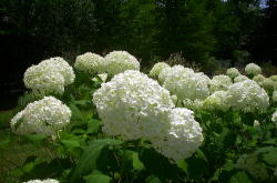 KGSガイドツアー2