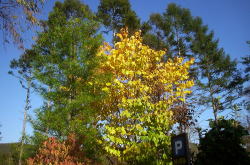 KGSガイドツアー1