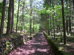 旧軽井沢ウォーキング