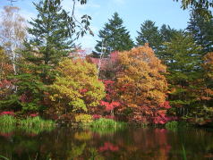 軽井沢リゾートサイクリング