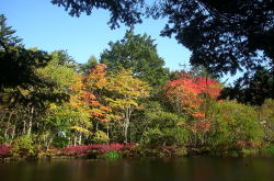 KGSガイドツアー1