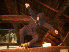 オーダーメイドプラン