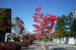 KGSガイドツアー1