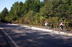 KGSガイドツアー1