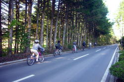 KGSガイドツアー1