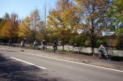 KGSガイドツアー1