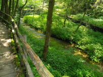 千ヶ滝ハイキング