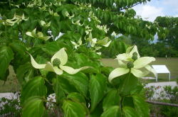 KGSガイドツアー2