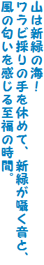 R͐V΂̊CI
r̂̎x߂āAV΂ƁA̓鎊̎ԁB