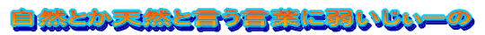 RƂVRƌtɎア[ 