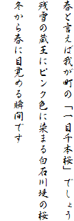 tƌΉ䂪́uڐ{vł傤

c̑ɃsNFɐ܂锒ΐ̍

~tɖڊo߂uԂł
