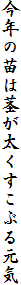 N̕c͌sԂ錳C