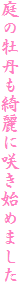 ̉OYɍ炫n߂܂