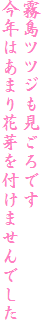 ccWł
N͂܂ԉt܂ł