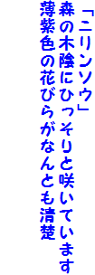 uj\Ev
X̖؉AɂЂƍ炢Ă܂
F̉Ԃт炪ȂƂ^

