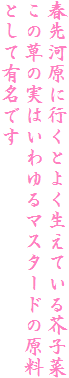 t͌ɍsƂ悭ĂHq
̑̎͂}X^[ȟ
ƂėLł