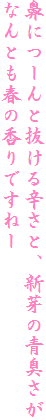 @ɂ[ƔhƁAV̐L
ȂƂt̍łˁ[