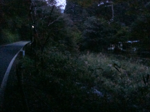 貴船口駅周辺の紅葉11月3日