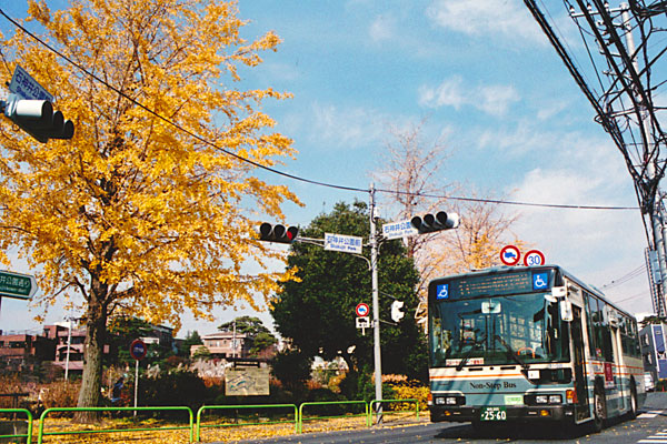 ２０１３年１２月４日撮影　東京都練馬区