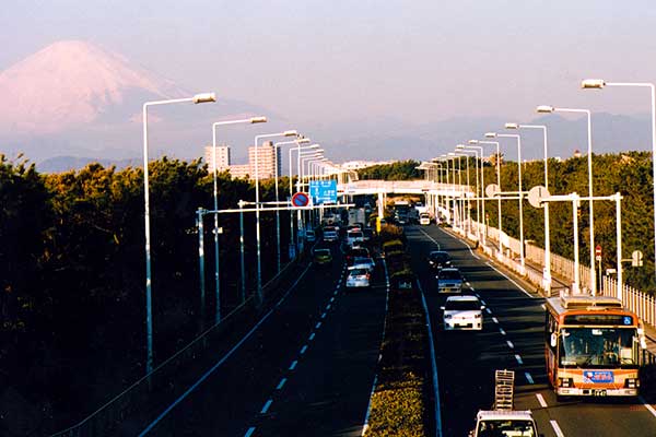 ２０１２年１２月２５日撮影　神奈川県藤沢市