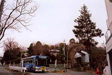 「終点の記憶」　おし沼
