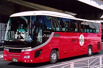 〔８－３０１０〕　日野ＰＫＧ－ＲＵ１ＥＳＡＡ（２００８年）