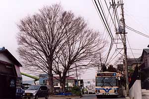 川和町～川和小学校前間