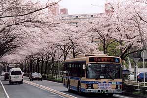 若葉台近隣公園前～東中学校前間